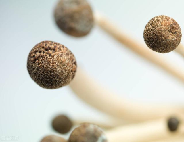 金针菇用不用焯水，金针菇到底焯水不（金针菇与茄子一锅焖你吃过吗）
