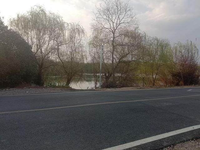 紫蓬山一日游攻略，紫蓬山五一游玩攻略（紫蓬山一日游）