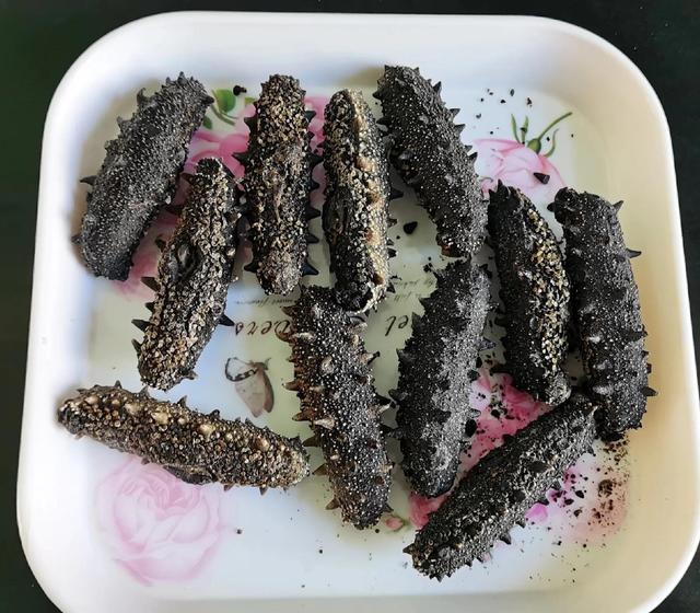 海参泡发的正确方法，泡发海参用对方法（快速泡发海参正确方法）