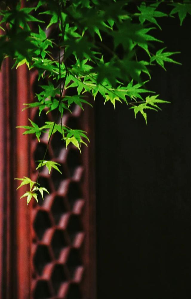 一个人灵魂的自由才是真的自由，灵魂站立的女人<经典>