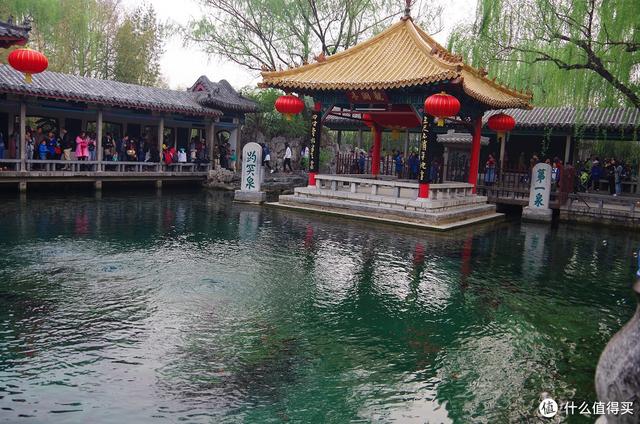 厦门大明湖春节有什么好玩的地方，厦门大明湖畔：水仙绽放贺春来