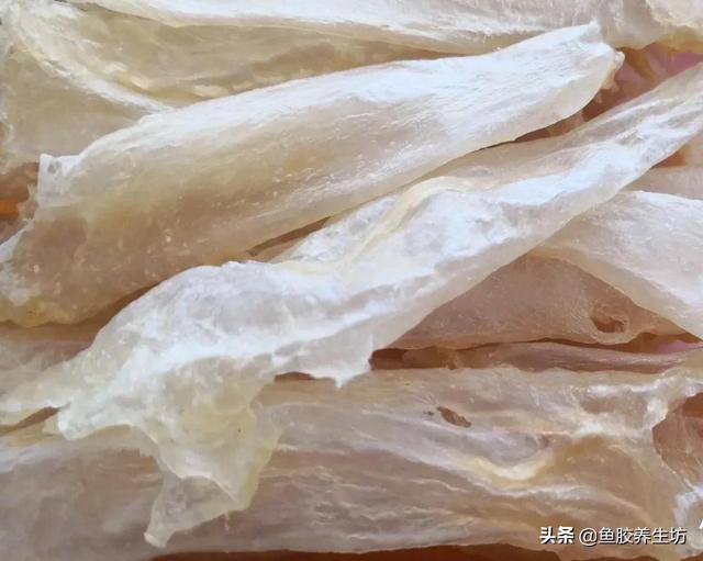 人工合成鱼胶图片，合成鱼胶怎么分辨