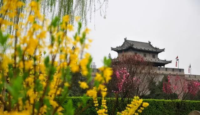 春天去哪里旅游，最适合春天去的7大旅游景点