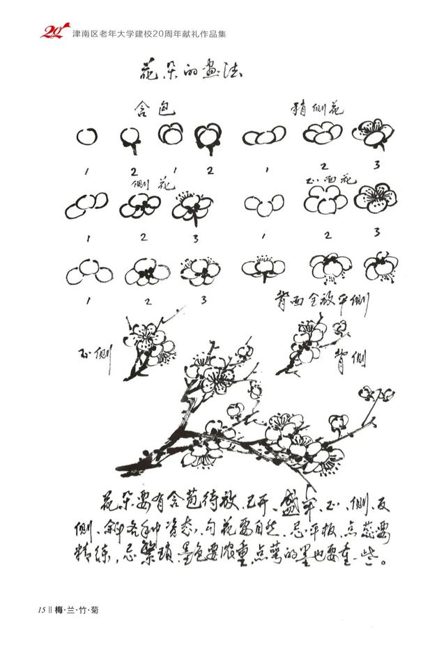 学水墨画梅花的画法，和李宝春老师一起学画梅花