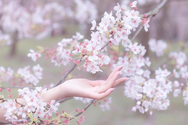 简单的花语文案，关于花的文案“做个浪漫人”