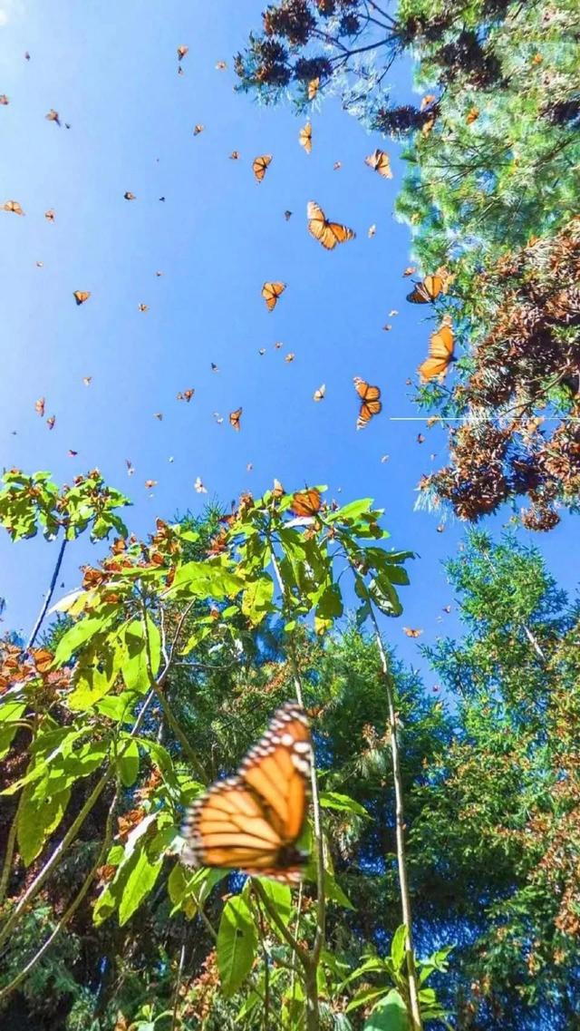 夏天去哪里旅游，夏天适合去哪里旅游避暑的地方（这些消暑纳凉地请收藏好）