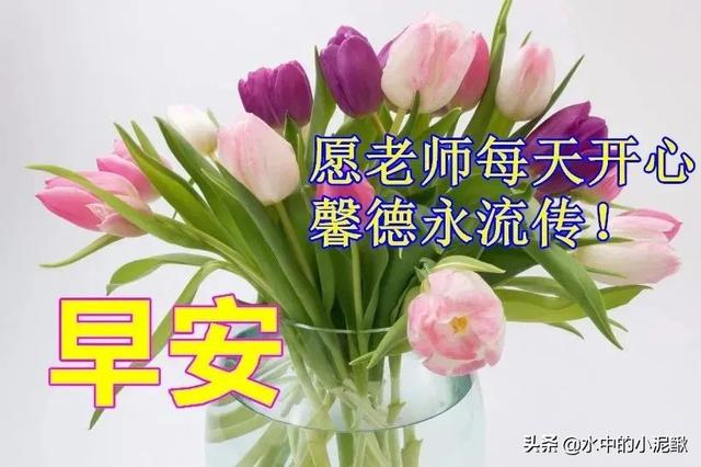 早安一句话唯美句子，关于早安心语的句子有哪些（早安心语正能量简单一句话阳光语录）