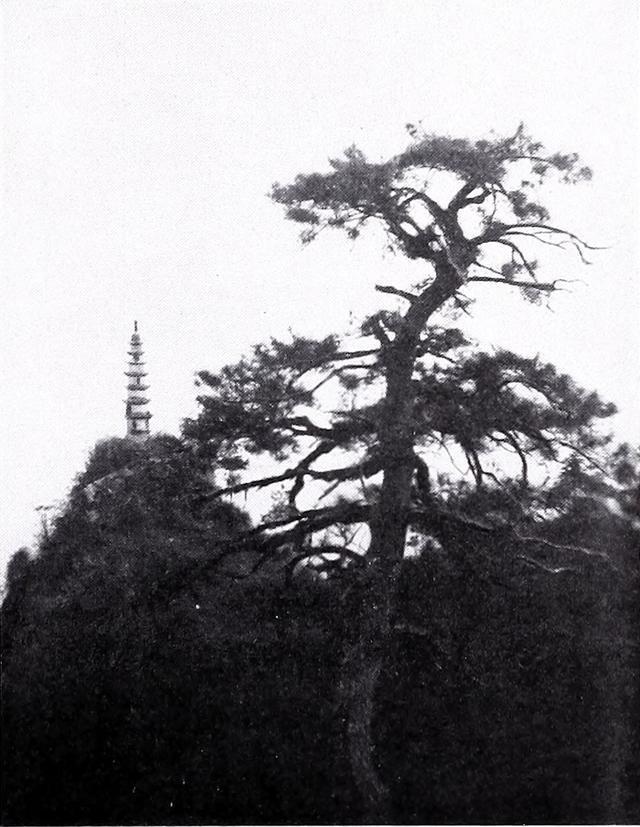 全国六大古塔，塔韵九江古塔一览