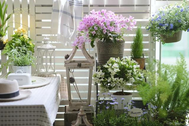 法式花园如何欣赏，海妈花园访问阳台花园满分案例