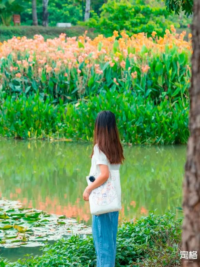 附近看花的地方，深圳最适合去赏花的地方（2023西安及周边赏樱花的地点大全）