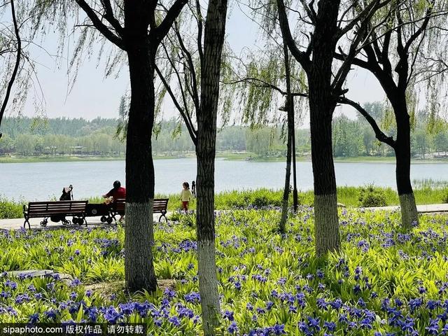 湿地公园值得一游，这几个免费的湿地公园景色宜人