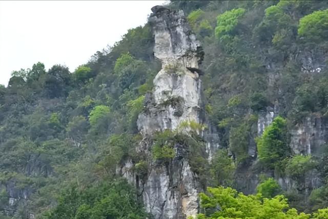 万峰林风景区图片，万峰林  游记（“万峰林，真的没有滤镜！”）