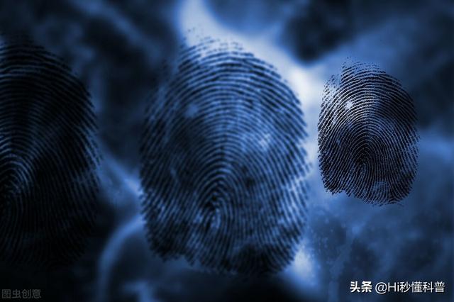 10个斗和10个簸箕，10个斗10个簸箕哪个更好