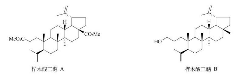 萜类的作用及功能，植物功效成分-三萜及其苷类
