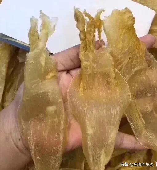 人工合成鱼胶图片，合成鱼胶怎么分辨