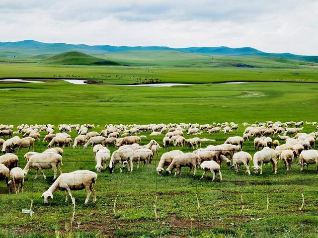 地球上最后一个人，地球上最后一个人怎么活下去（谁将是地球上最后一个生物）