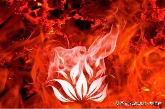 斗圣，斗破苍穹十大斗圣排行