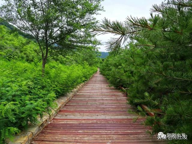 大连西郊森林公园爬山路线，徒步大连西郊国家森林公园