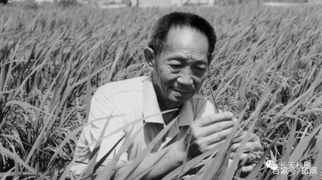 挽联及落款，丧事上花圈花篮幛子的