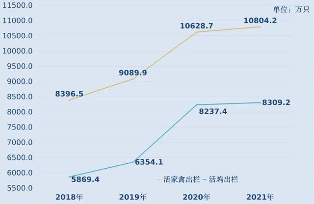 清远鸡哪里吃最正宗，广东人都在夸的清远鸡