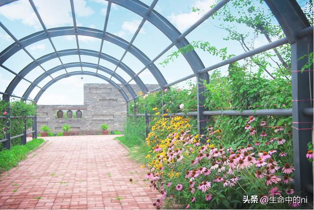 开封必游景区，这八处经典必去的地方