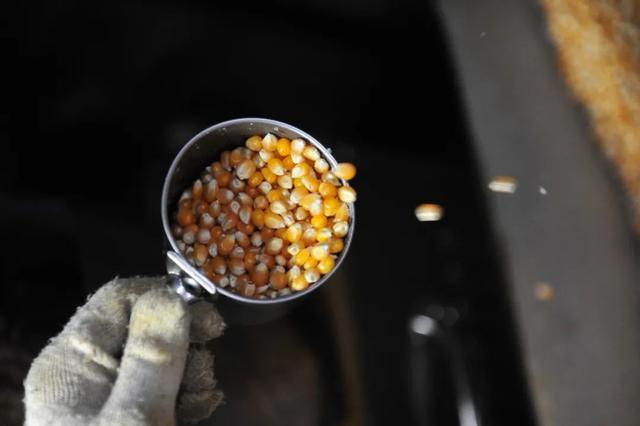 厦门必吃的六道菜，这些藏在巷子里的美食