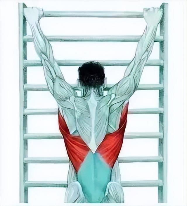 10分钟懒人拉伸训练动作，这6组33个拉伸动作绝了