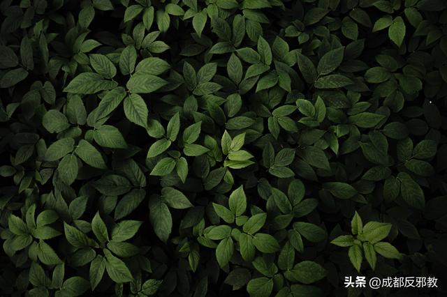 电脑好看的壁纸，10个最佳电脑壁纸（这56张绝美风景）