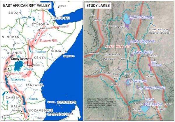 地球经历的几次冰川时期，地球大陆分裂:第八大洲在形成