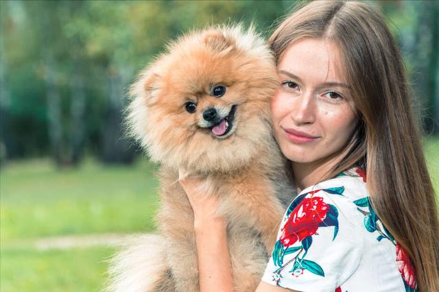 怎样分辨博美犬的性格，小博美的这几个性格特点