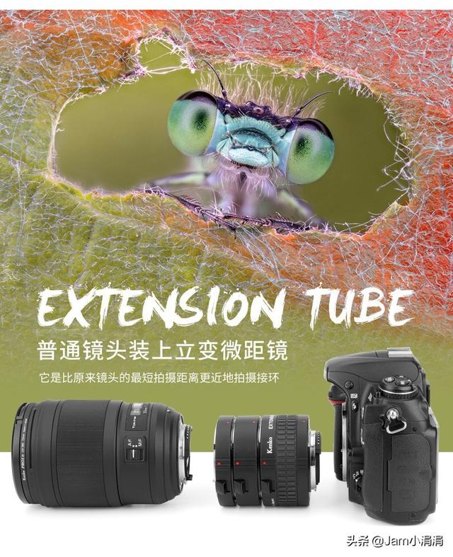 微距怎么拍摄最好，实用技巧微距拍摄基础