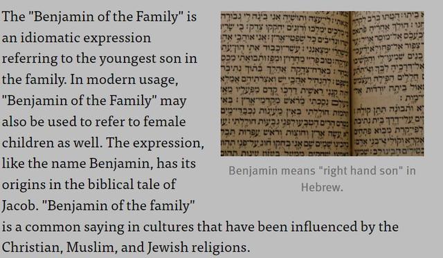 英语家庭的复数怎么说，家庭中老大老二