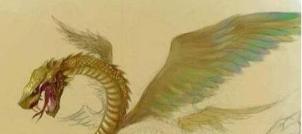 四大神兽是什么，古代四大神兽分别是什么（古代的是四大神兽）