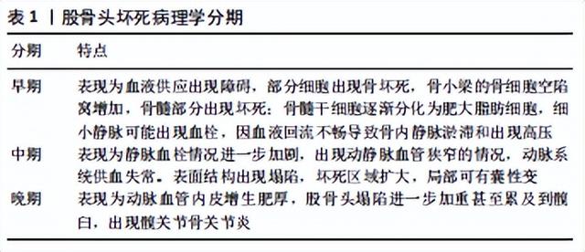 肥胖兔子造模(胖的兔子怎么画)