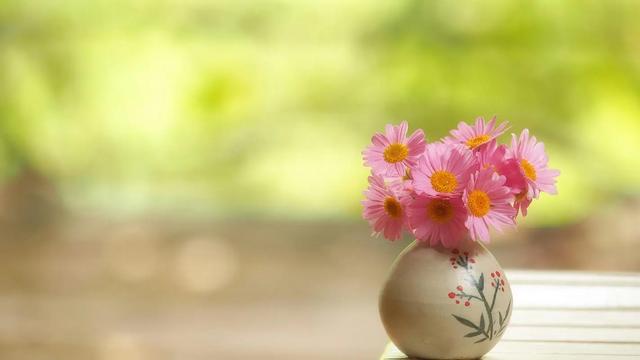 适合发朋友圈的文案，朋友圈适合发的文案正能量（显得朋友圈更高级的文案句子）