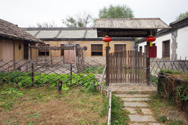 庭院种什么果树风水好，农村庭院春季种上这5种树