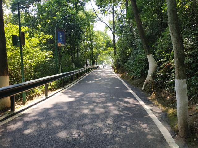 重庆短途摩旅推荐路线，重庆主城摩旅推荐之歌乐山森林公园