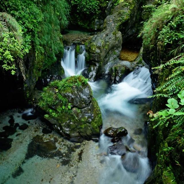 峨眉山游览攻略，峨眉山最全旅游攻略（来了就被它征服）