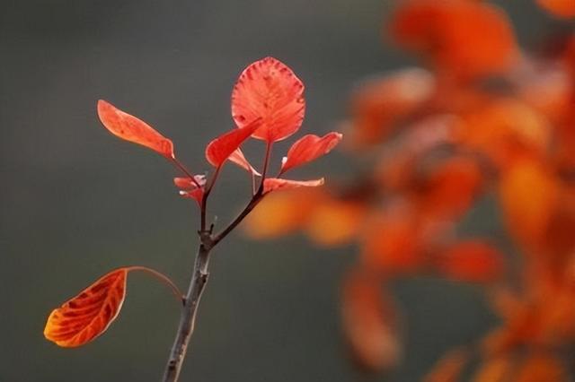 母亲劝告儿子的话，一位高情商母亲劝告儿子