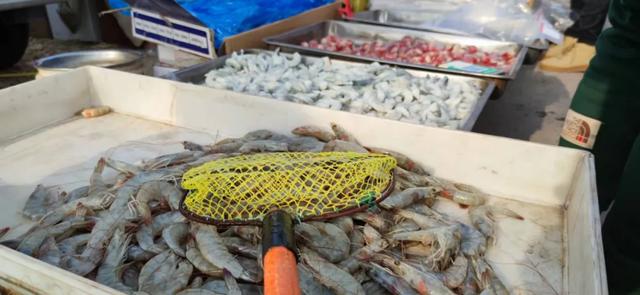 年货大集门头，年货大集一网打尽