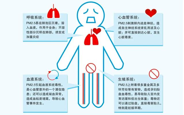 正常人自然死亡概率，人自然老死的概率有多高