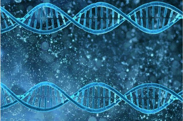 仿生动物科普，人类走进造物主时代