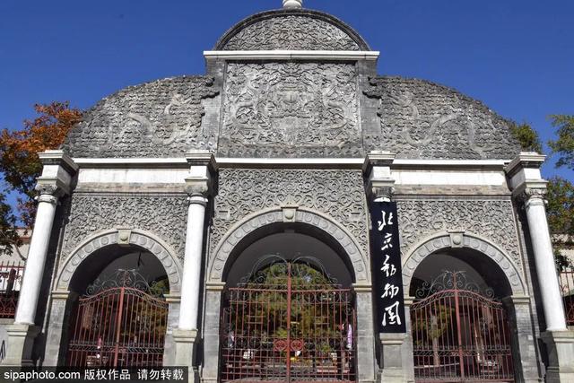 神奇动物去哪里，神奇动物去哪了解（这座城市藏不住了）