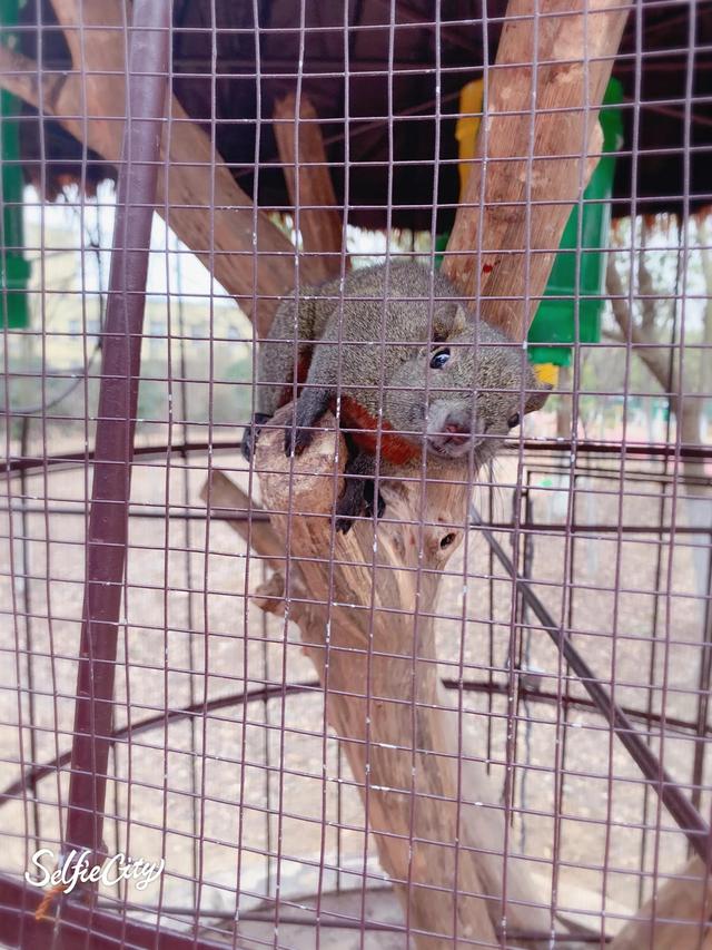 南京冬天哪里好玩，冬季南京遛娃必去景点