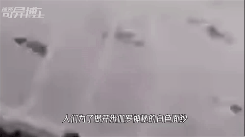 十种极为罕见的白化动物，20只罕见的白化动物