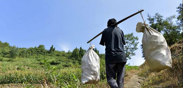 97岁驼背老人现状，97岁杨振宁携妻子出行
