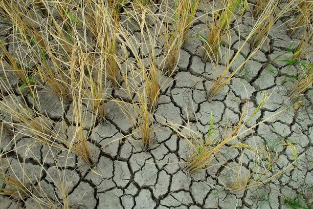 面膜最大的功效是什么，面膜的作用及重要性