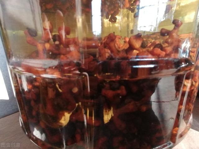 龙爪枣与拐枣一样吗，不一样的水果拐枣