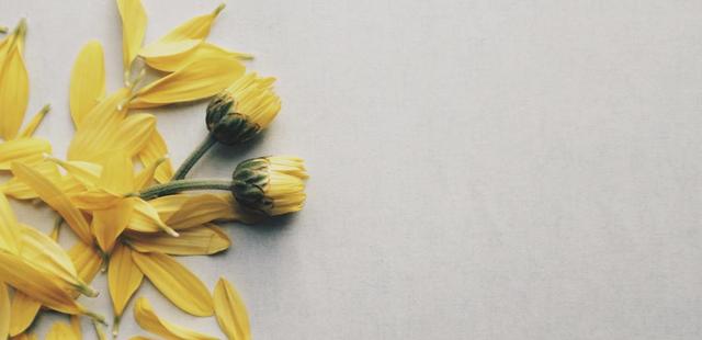 情人节的起源地罗马竟然这么浪漫，2022.5.14世界上还有一个玫瑰情人节