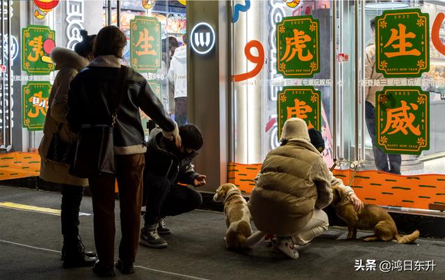 复古情怀胶片相机满满的仪式感，九款实用仿拍立得胶片感APP大测评